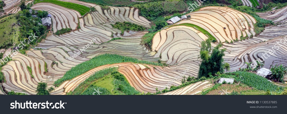 Ruộng bậc thang Tây Bắc MRBT-025